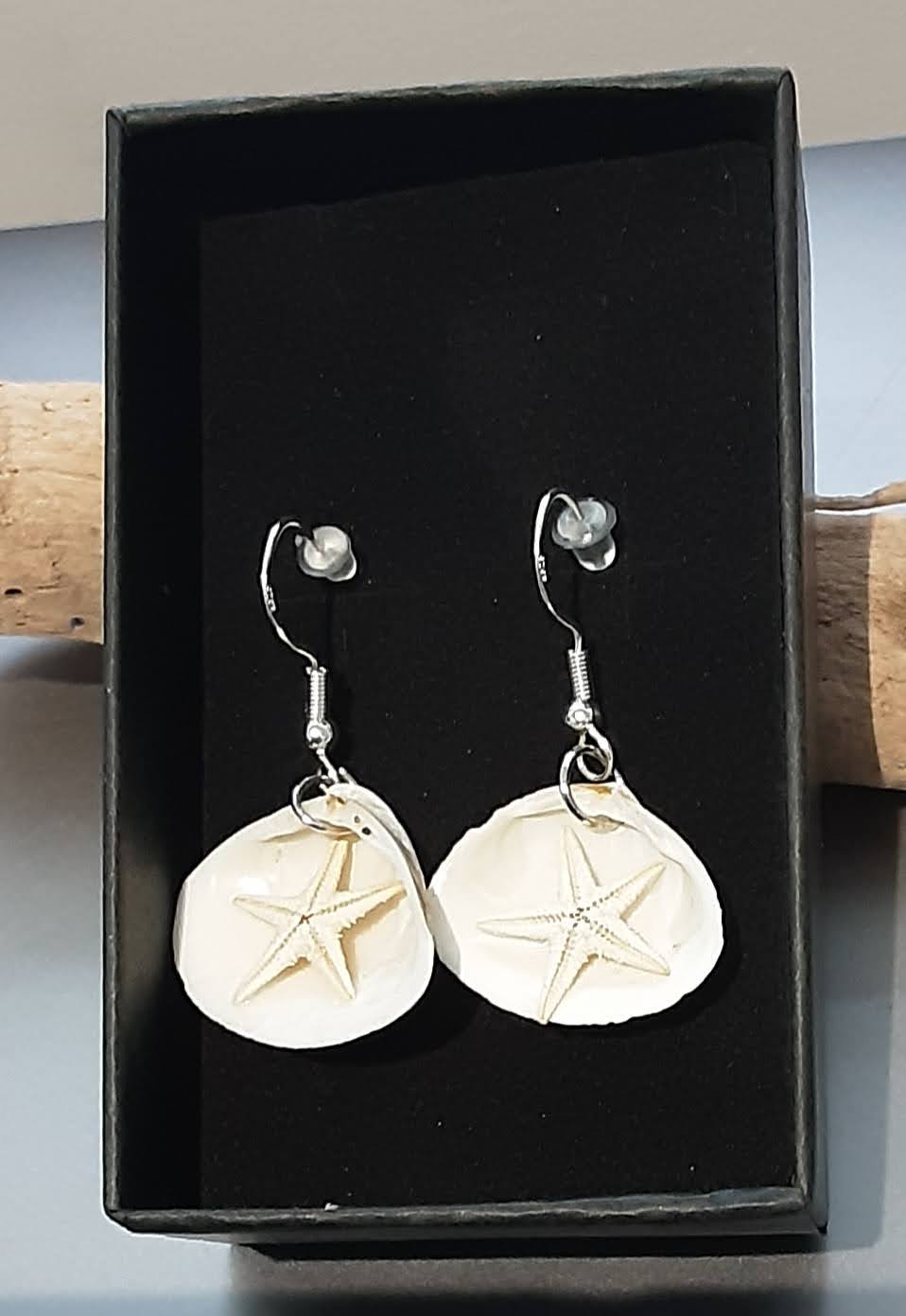 Real Shell Tellins Earrings www.devonmermaid.com