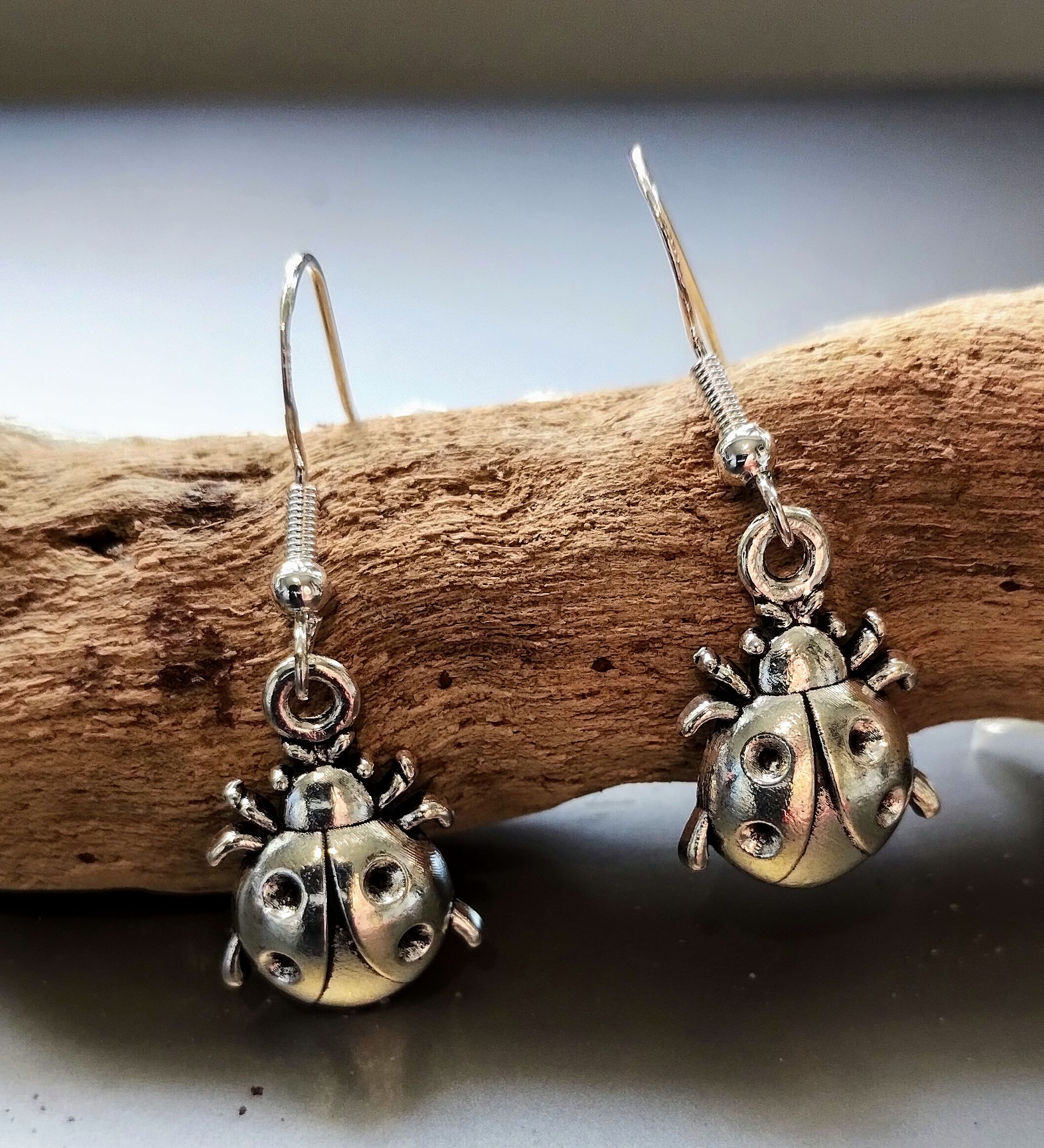 Ladybird Ladybug Earrings www.devonmermaid.com