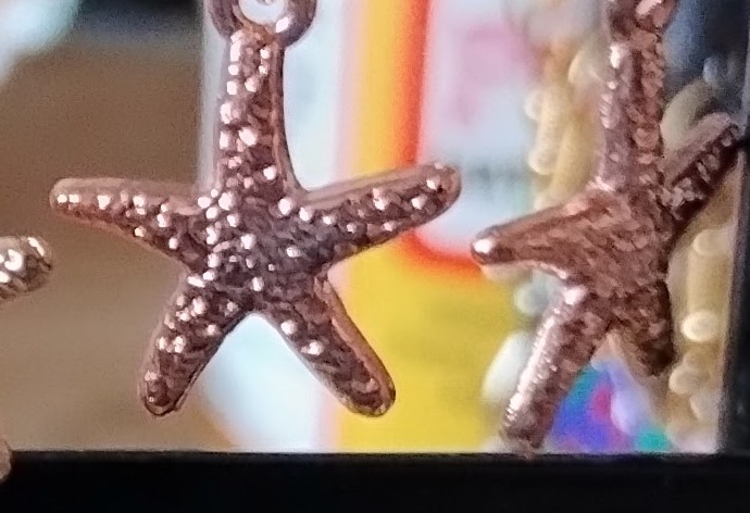 Starfish Earrings www.devonmermaid.com