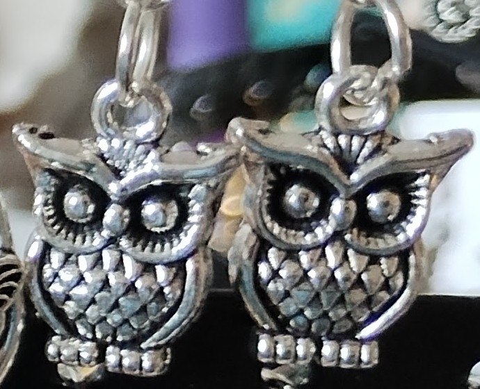 Owl Earrings www.devonmermaid.com
