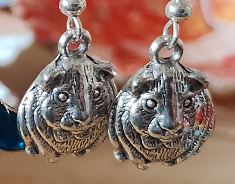 Hamster Guinea Pig Gerbil Earrings www.devonmermaid.com